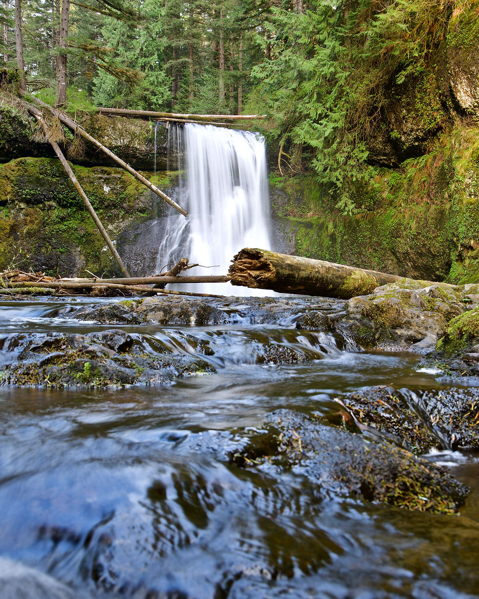 Hiking and Photographing Silver Falls State Park