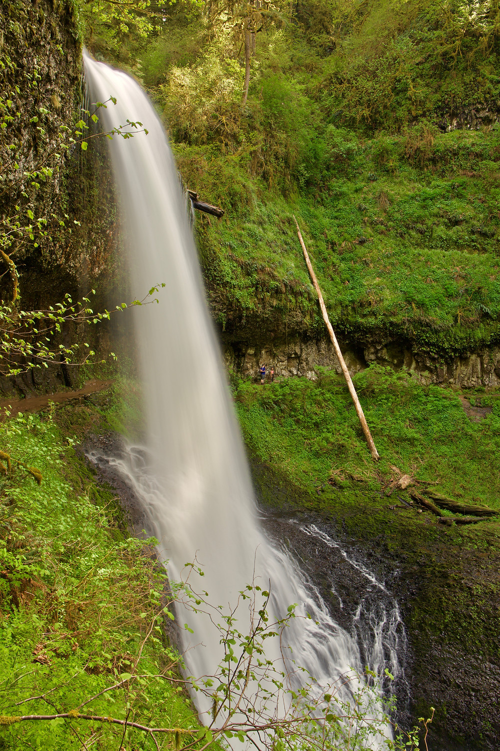 Silver falls State Park