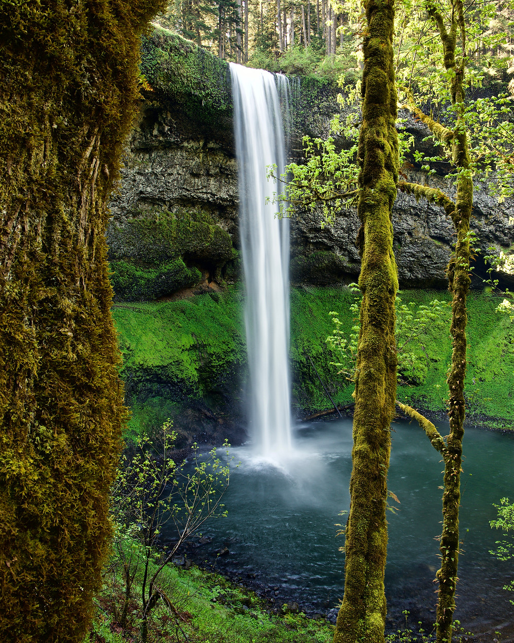 Silver Falls State Park
