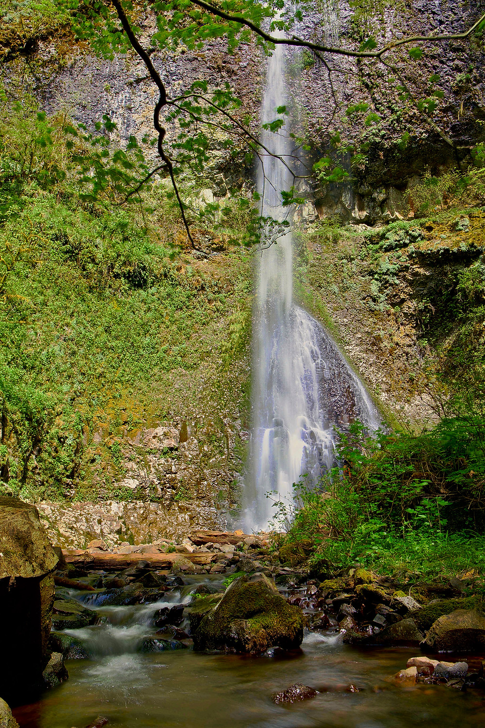 Silver Falls State Park