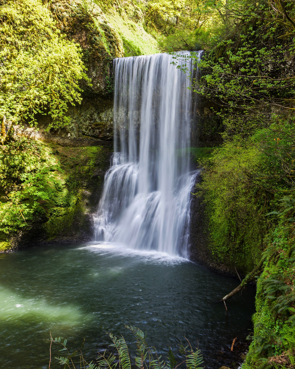 Silver Falls State Park