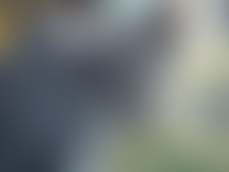 🐾 What We’ve Been Trying to Teach Her