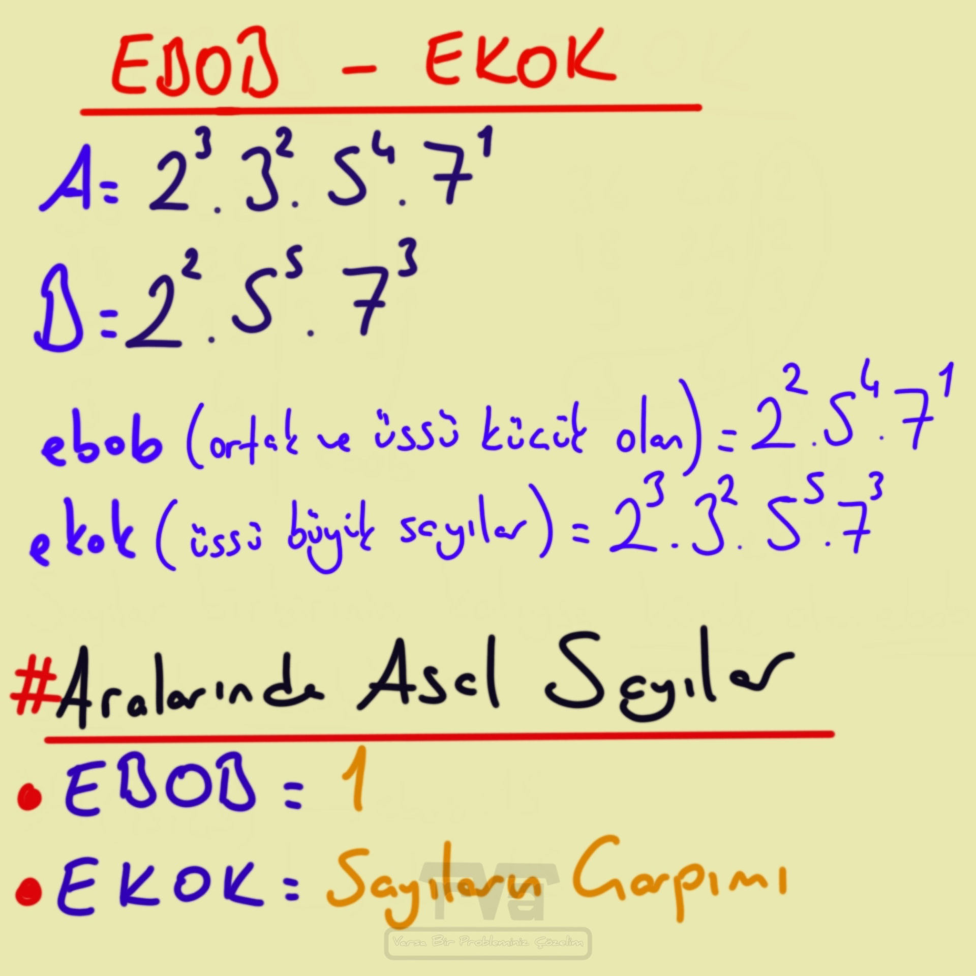 EBOB-EKOK