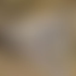 ポルカへの展示