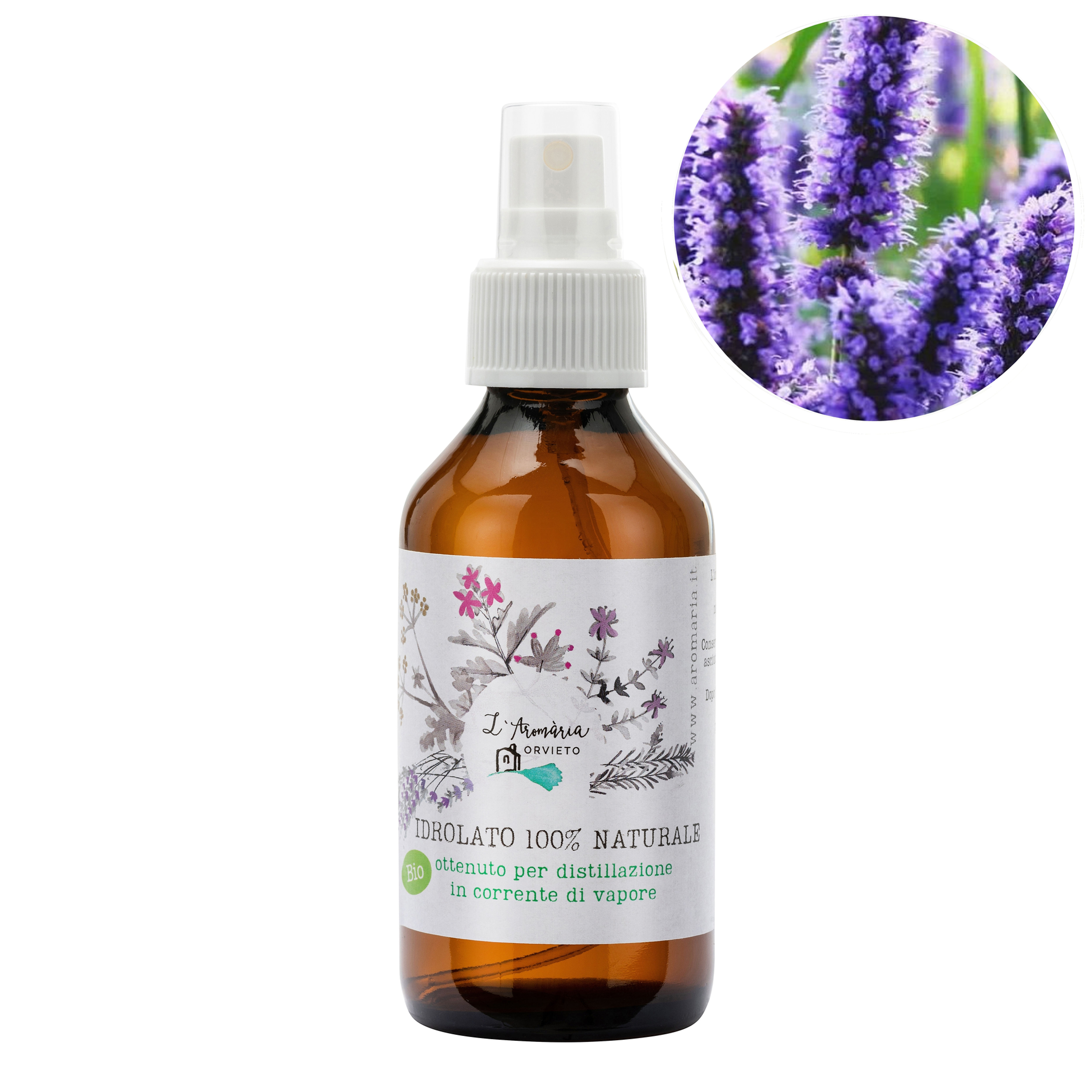 Organic Hyssop Hydrosol