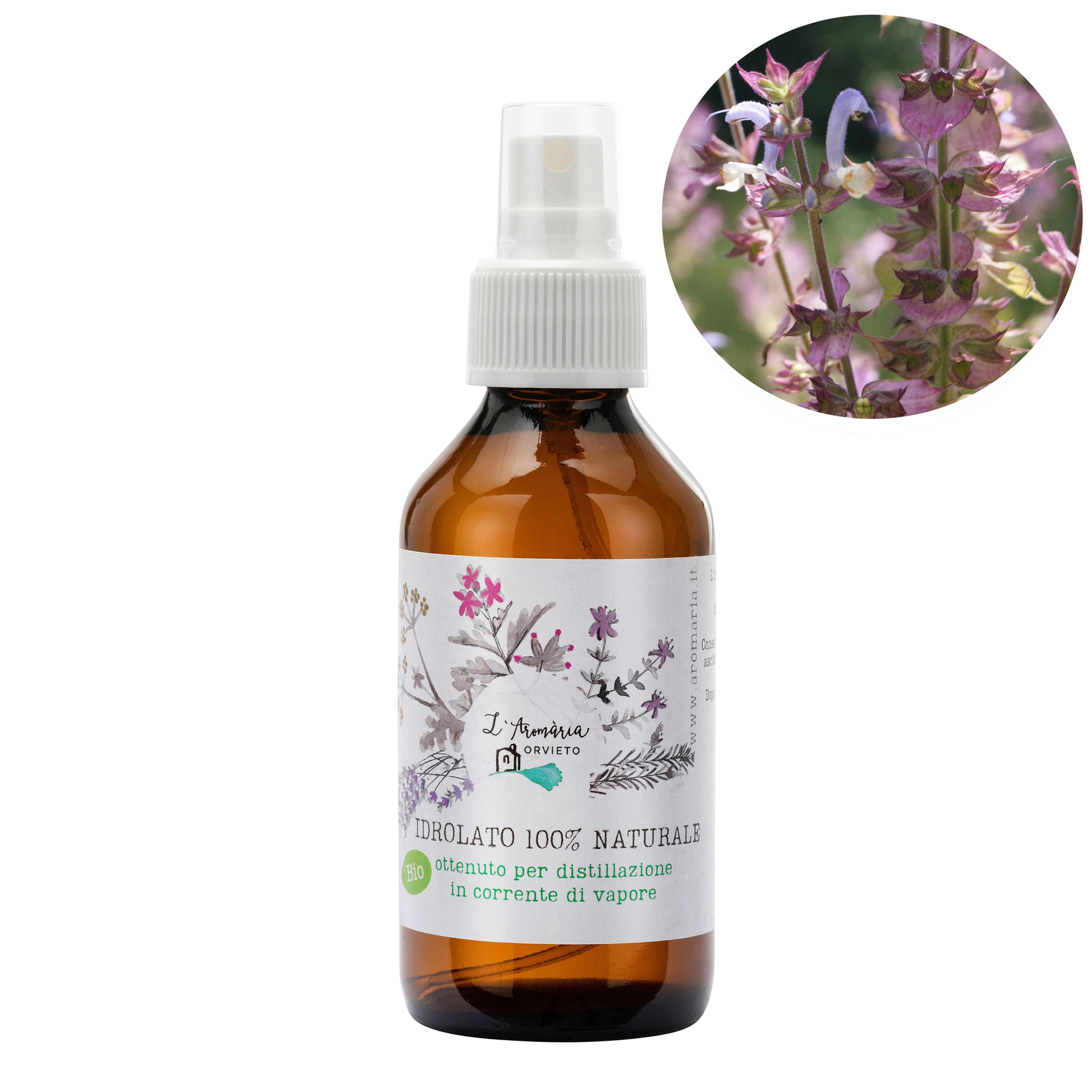 Organic Sage Hydrolate
