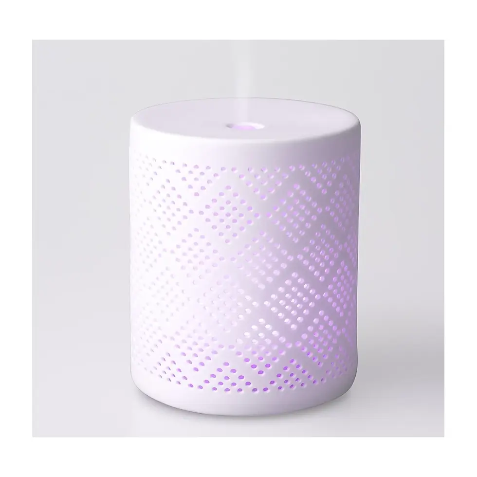 Thumbnail: Torelia Diffuser for ultra-nebulization