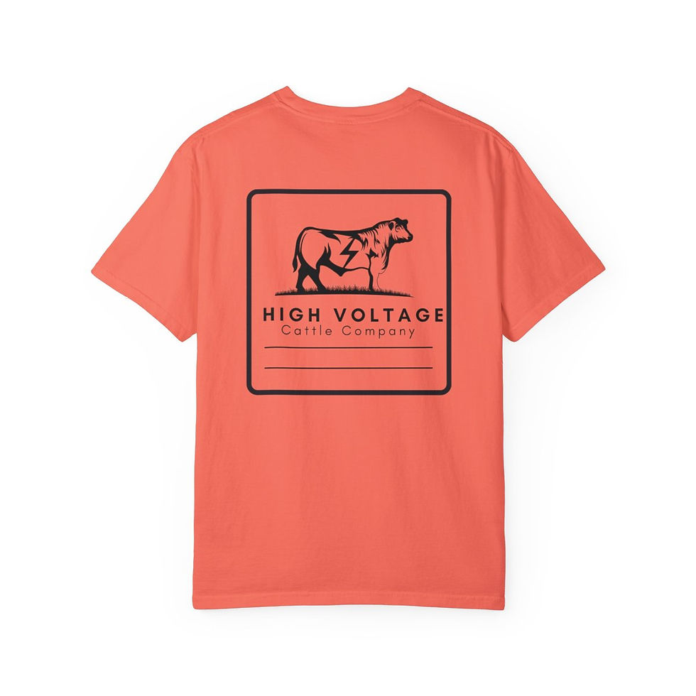 Thumbnail: High Voltage Logo Tee