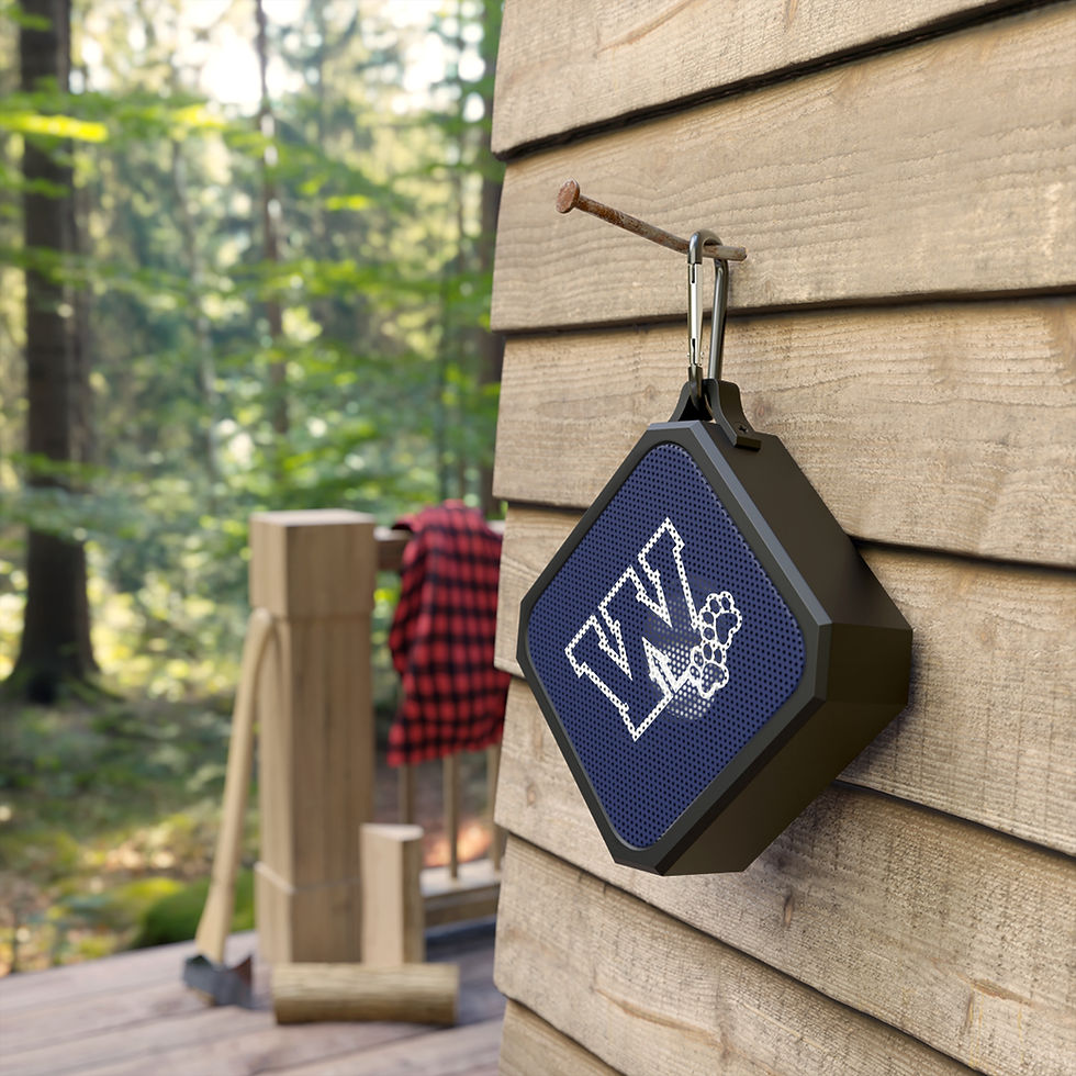 Thumbnail: Wildcat Outdoor Bluetooth Speaker