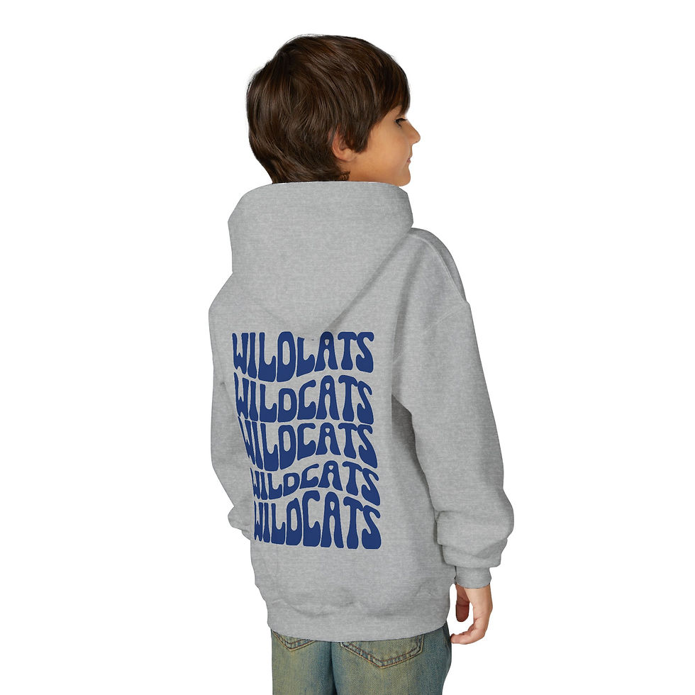 Thumbnail: Youth Groovy Wildcat Hoodie 