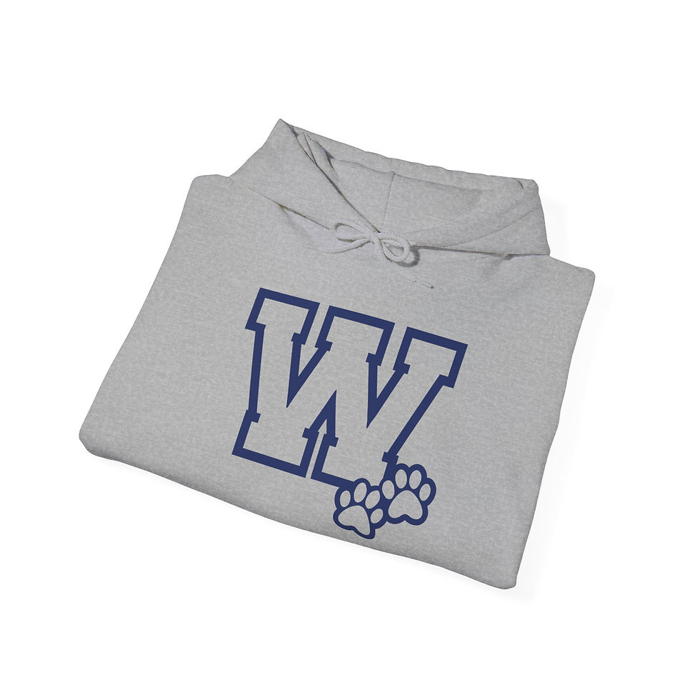 Thumbnail: Varsity Hoodie