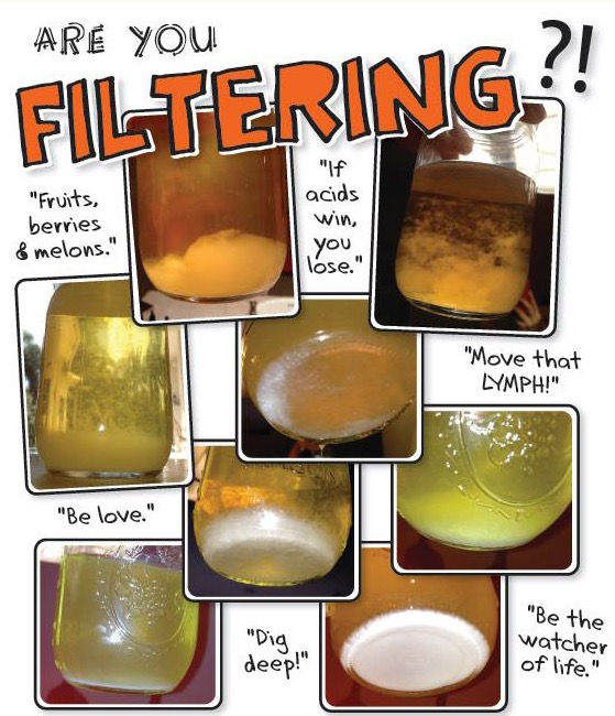 How to Achieve Kidney Filtration!