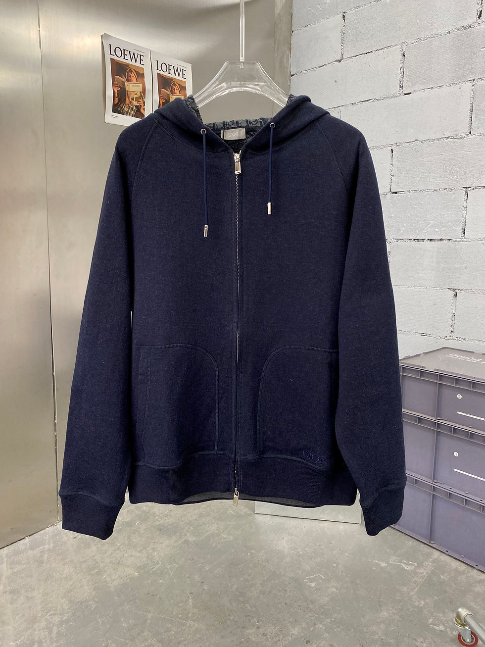DIOR HOODIE