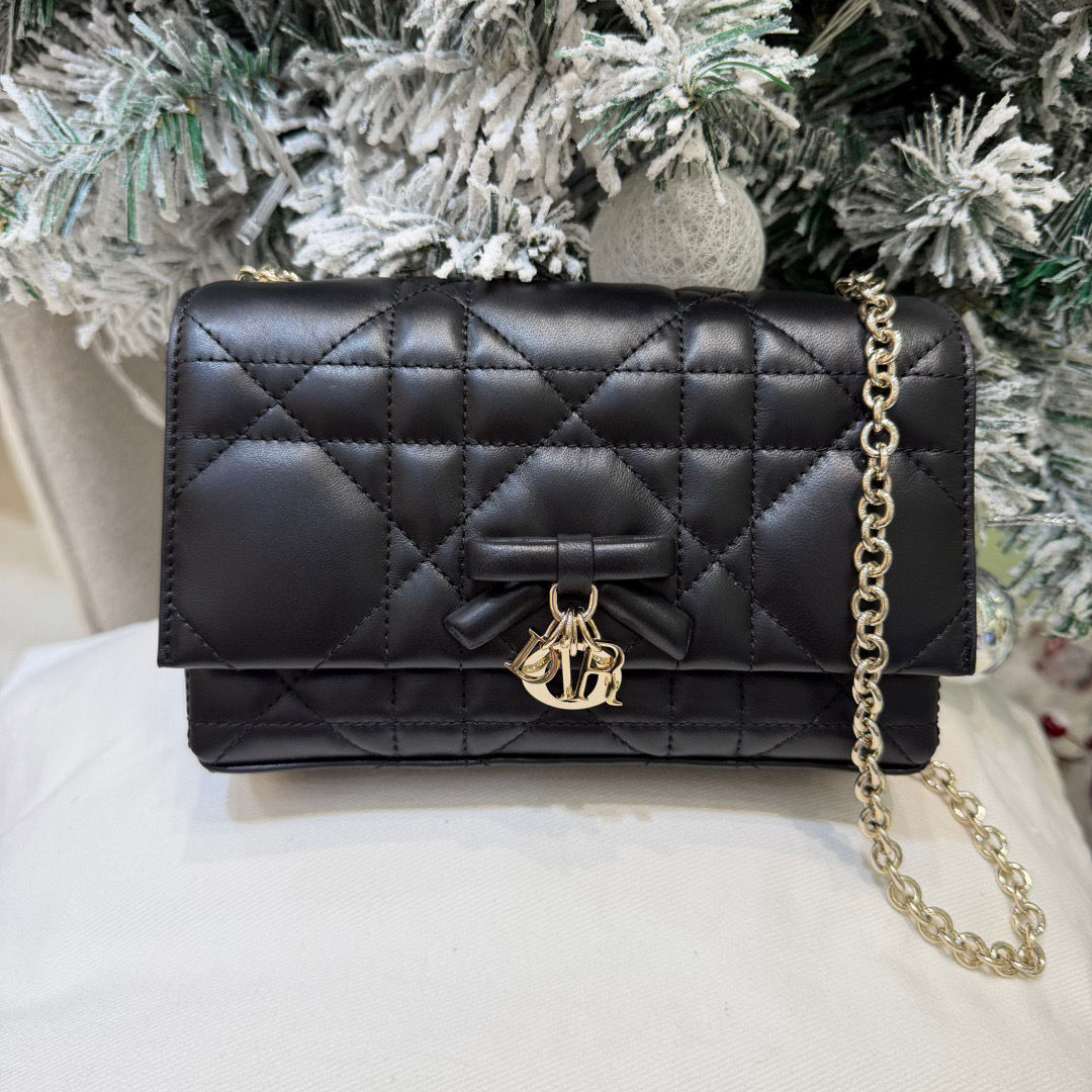 DIOR PROMENADE BAG