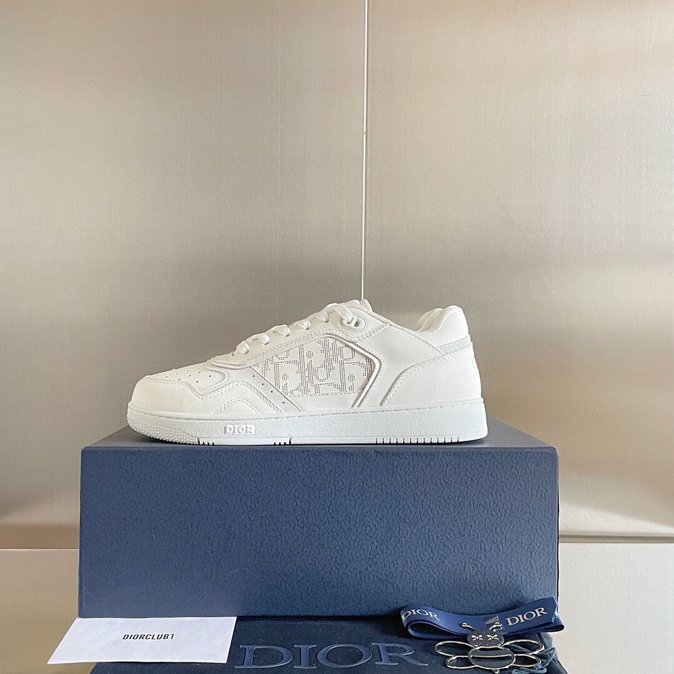DIOR B27 SNEAKERS