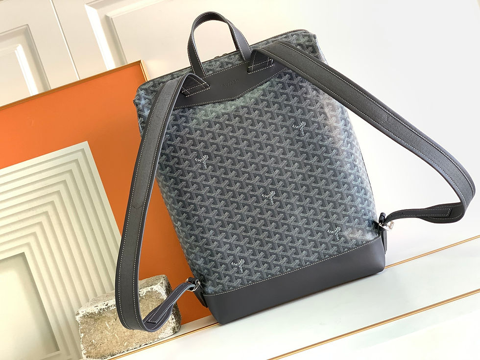 Thumbnail: GOYARD CISALPIN BACKPACK