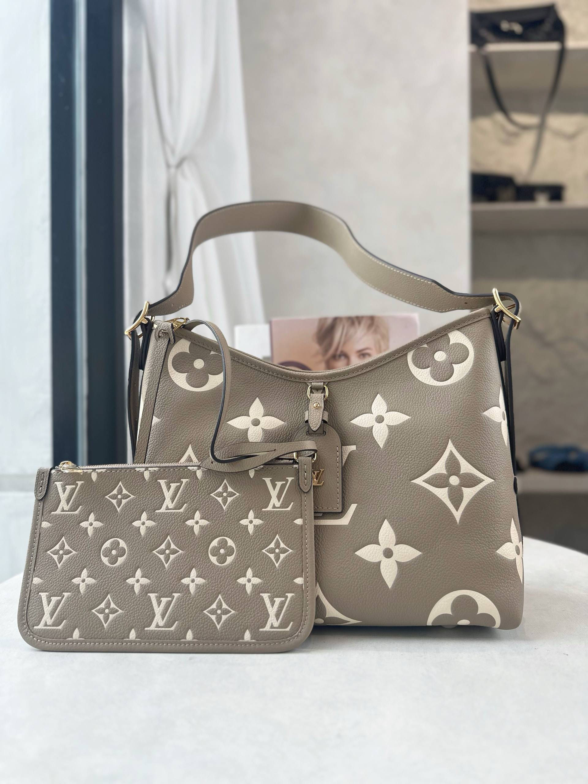 LV CARRY ALL PM BICOLOR BAG