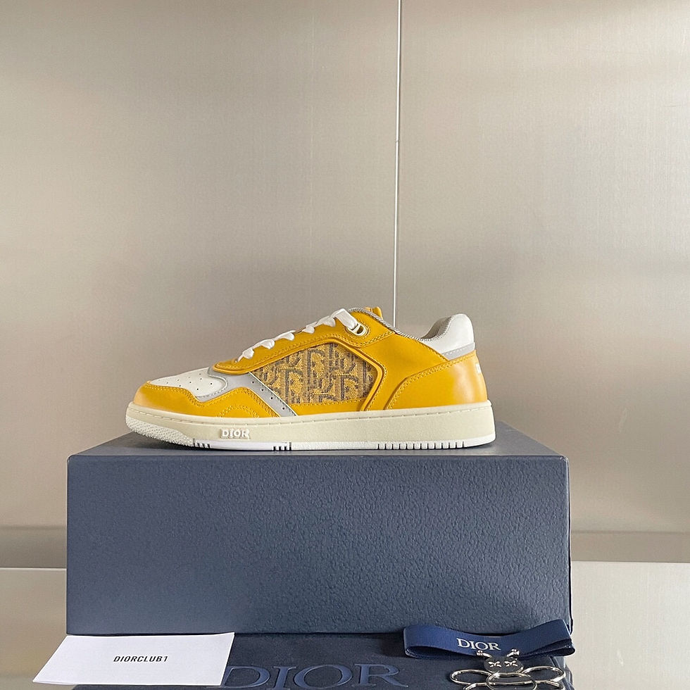 DIOR B27 SNEAKERS