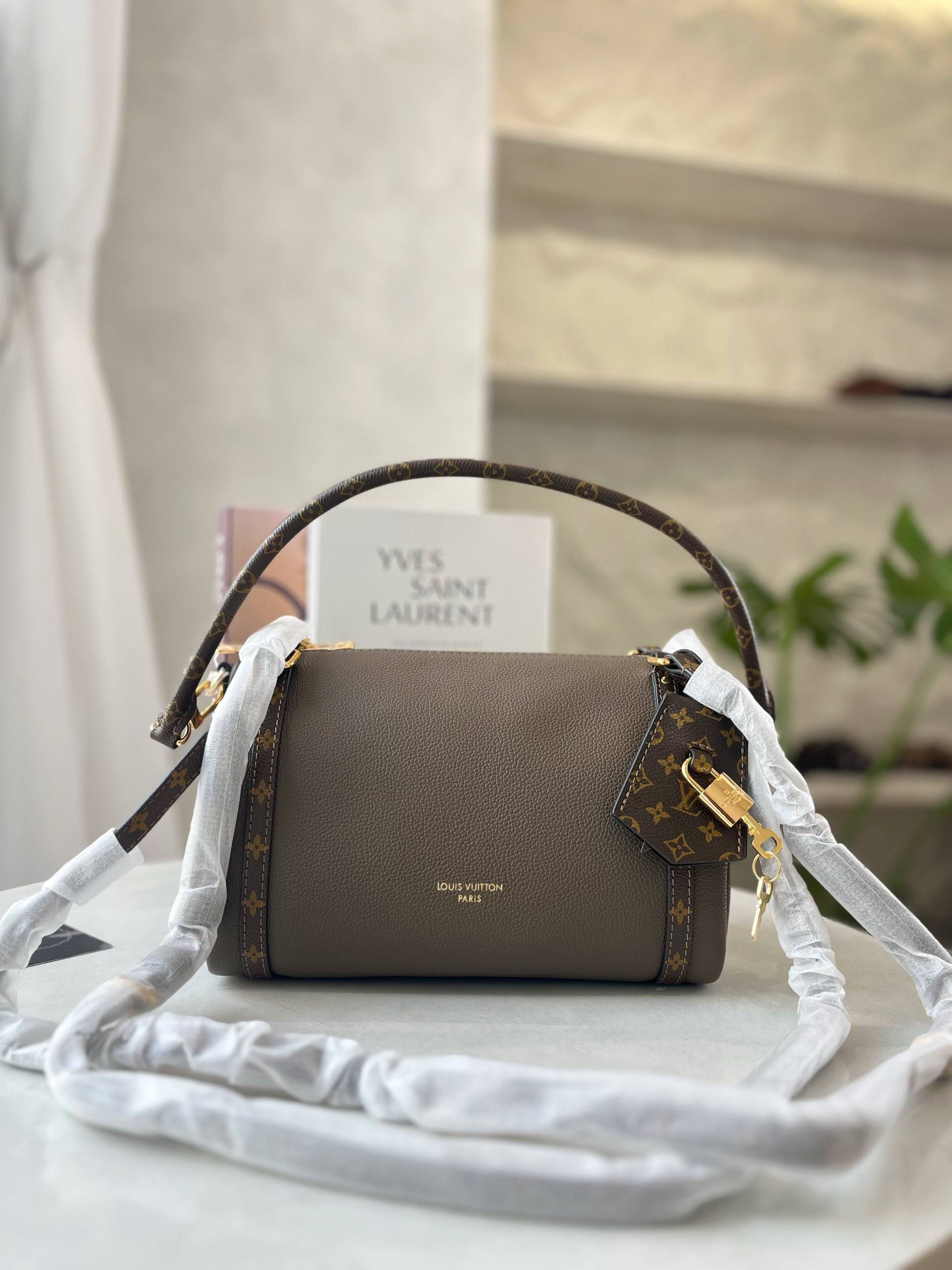 LV EXPRESS PM H27 HANDBAG