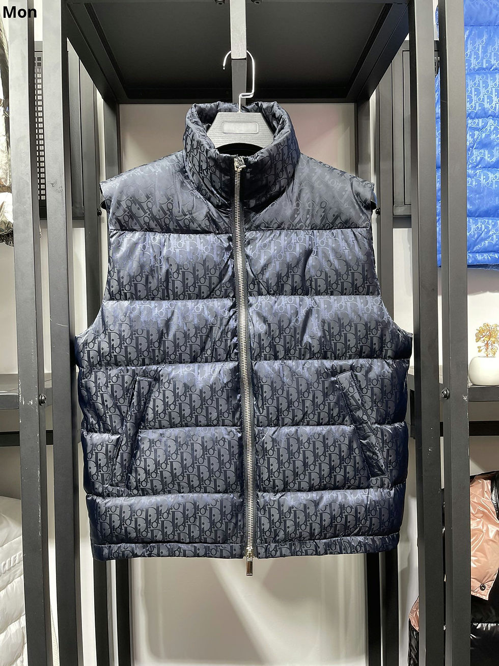 DIOR WINTER VEST