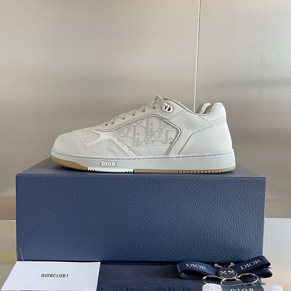 DIOR B27 SNEAKERS