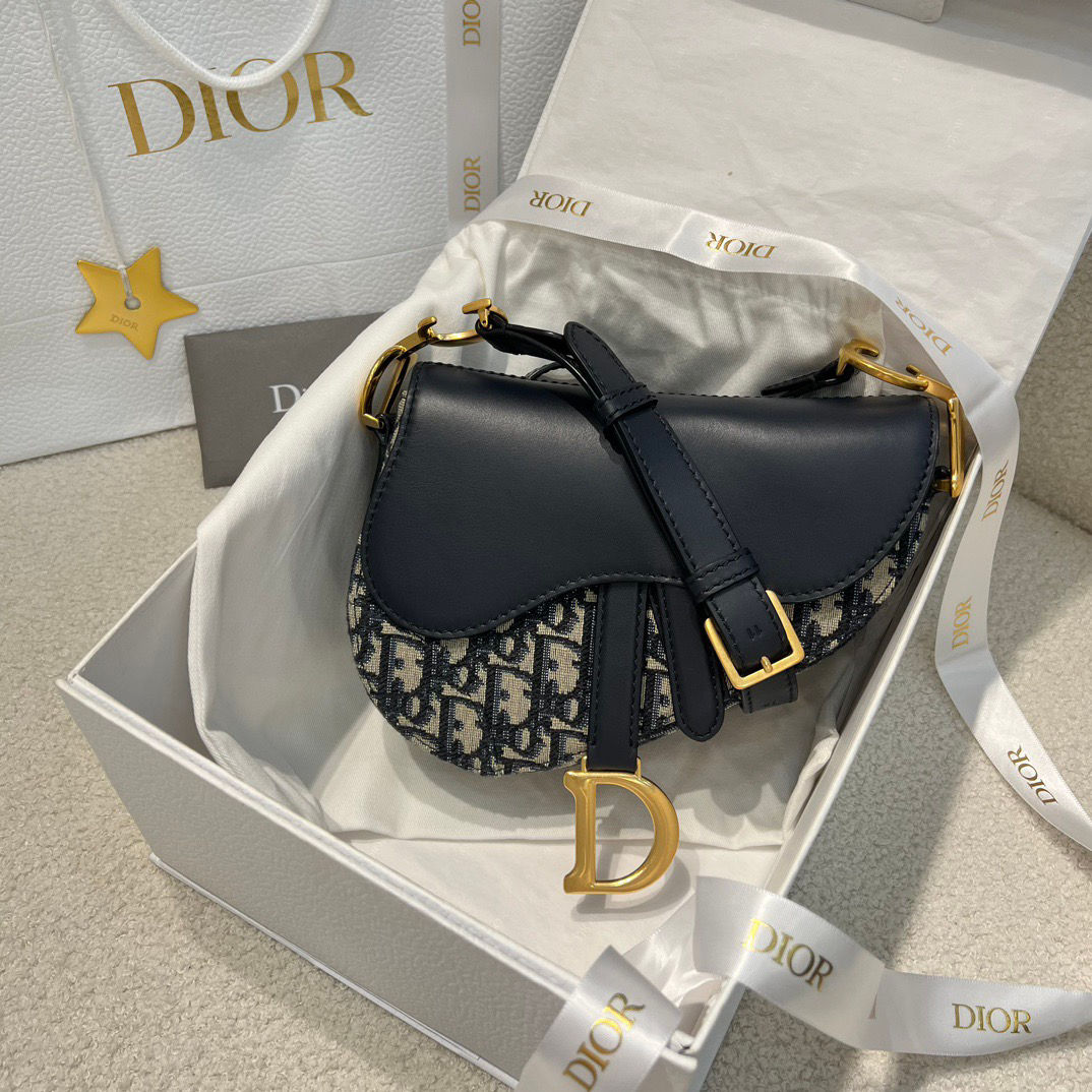 DIOR SOFT SADDLE OBLIQUE BAG
