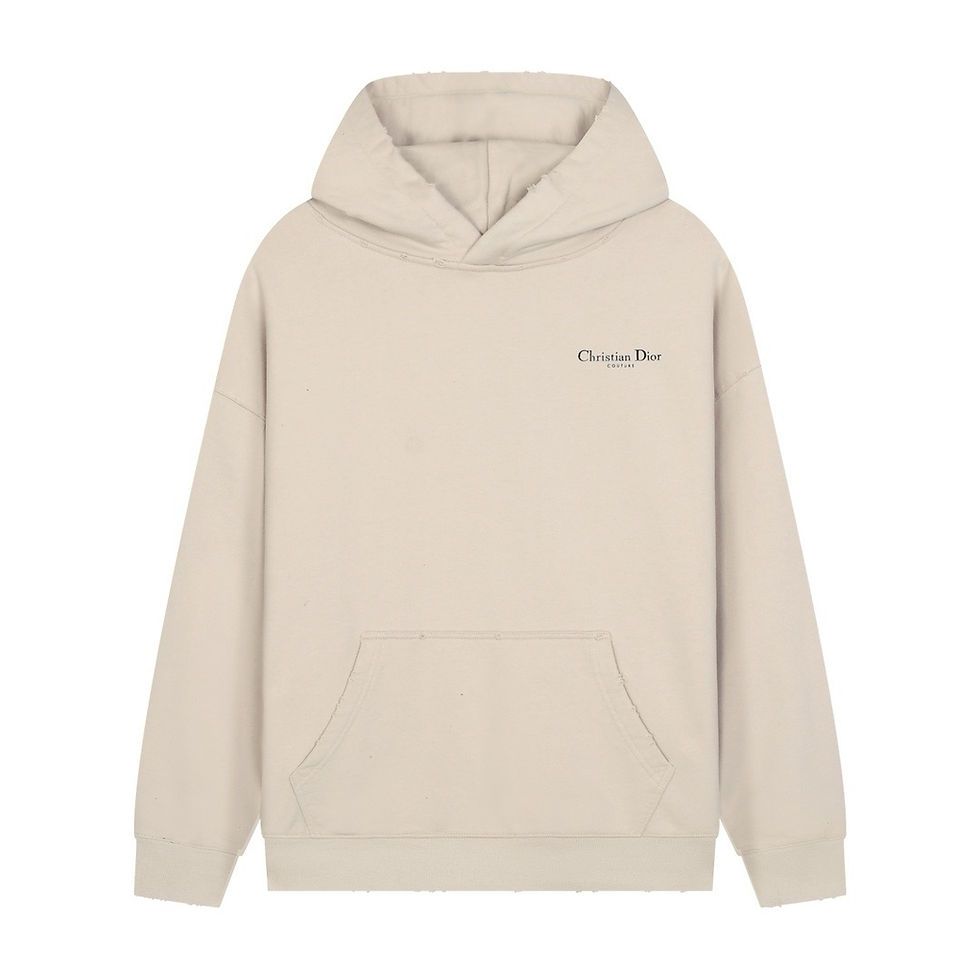 DIOR HOODIE