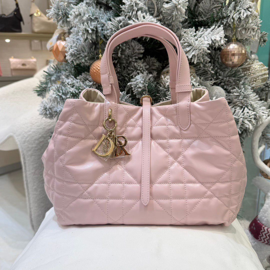 DIOR MEDIUM TOUJOURS BAG