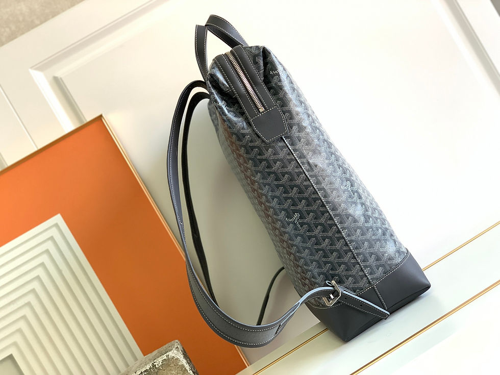 Thumbnail: GOYARD CISALPIN BACKPACK