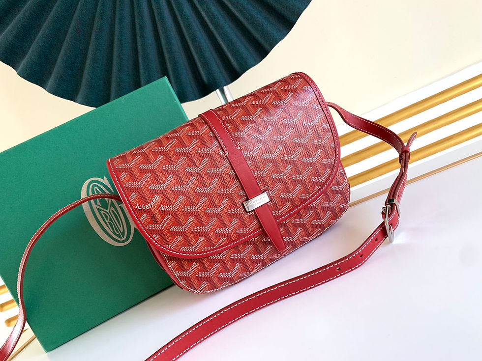 GOYARD BELVEDERE BAG