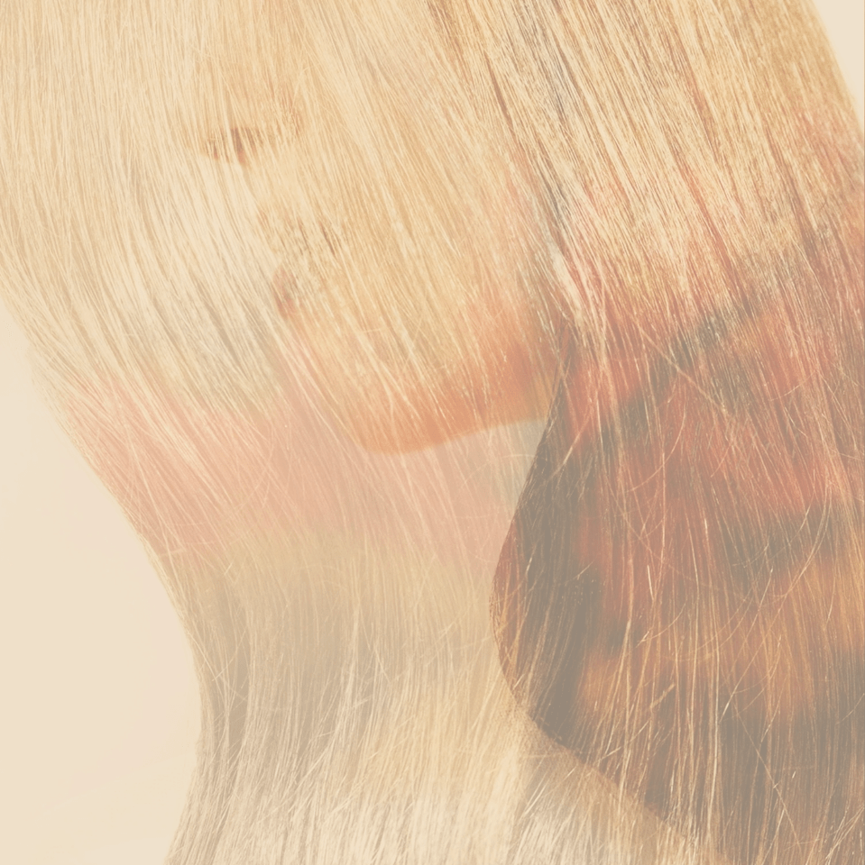 Post autumn.gif