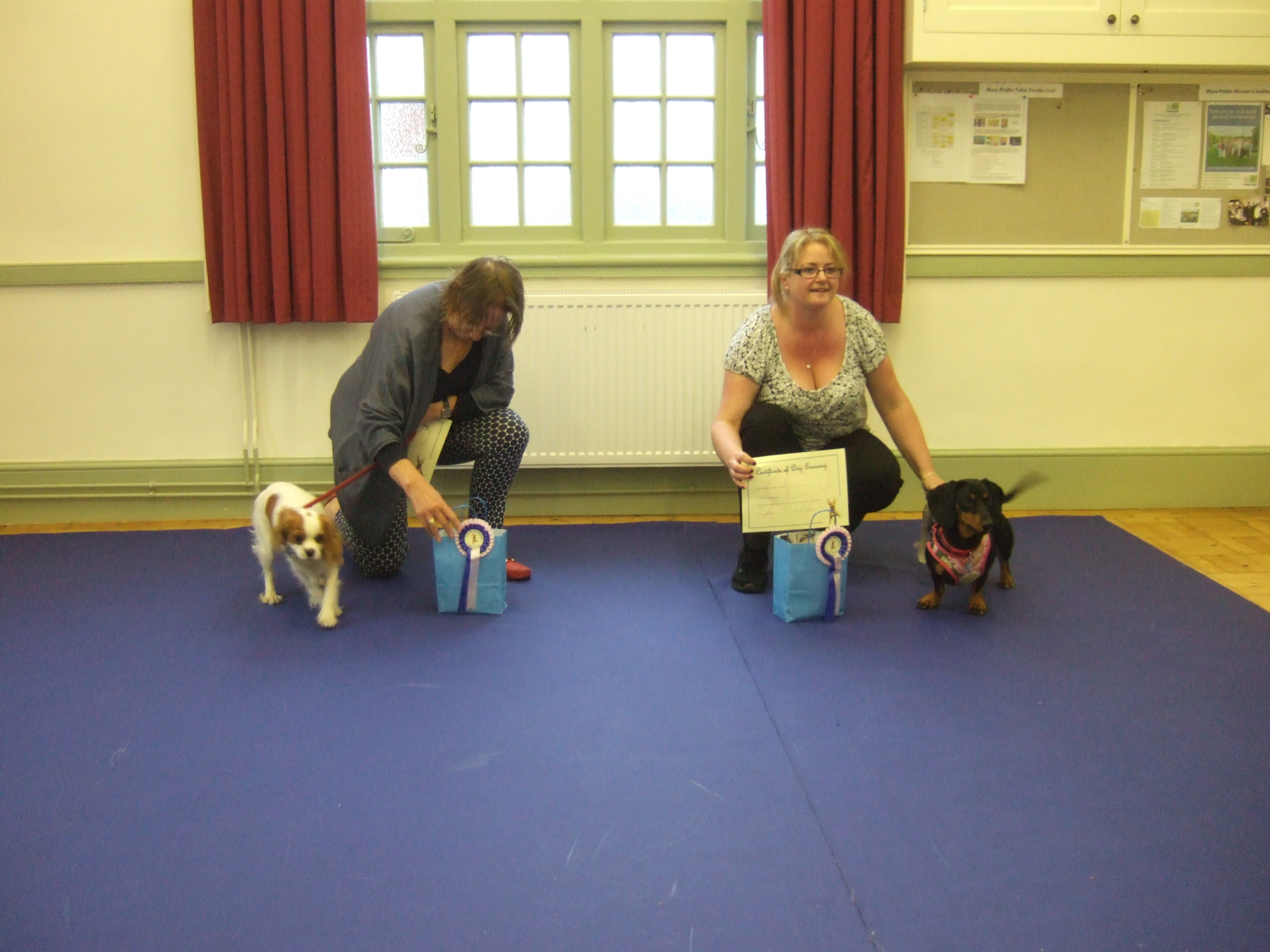 Puppy Improver's Graduation 26/06/16