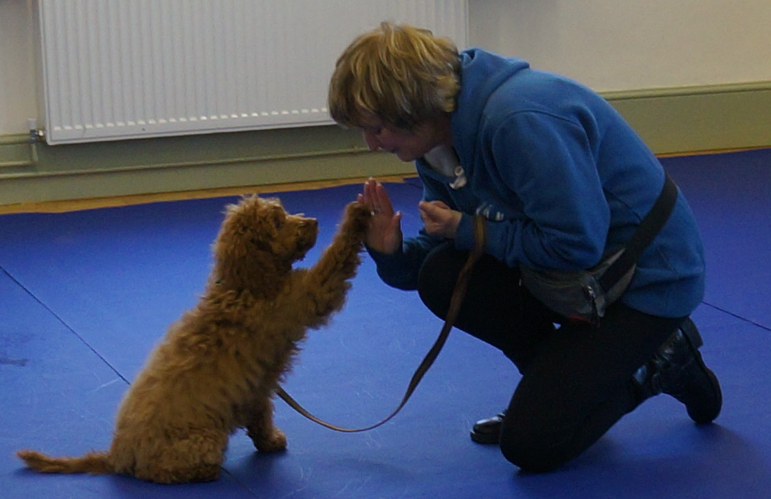 Blue's High Five