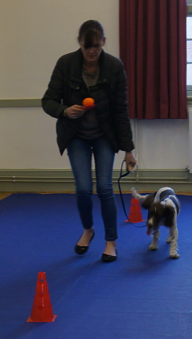 Harvey Egg Spoon Race!