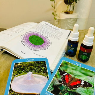 Compondo Biografias com Florais: Soltando Acúmulos Vibracionais