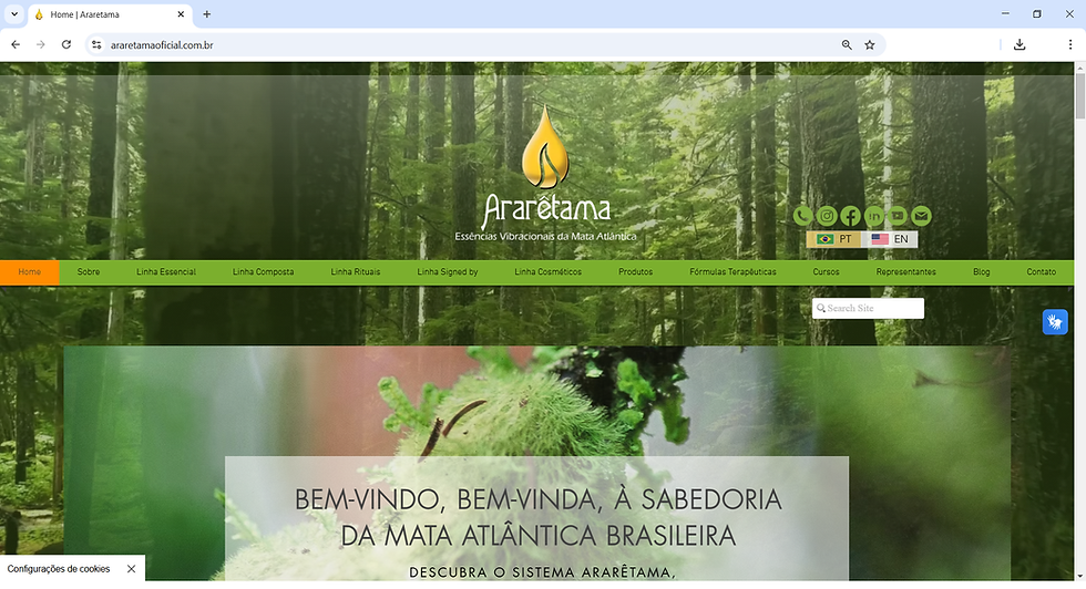 Audiodescrição: Foto da home do Site Ararêtama Oficial apresentando o VL Libras, Bandeiras dos idiomas português e inglês e barra de pesqui