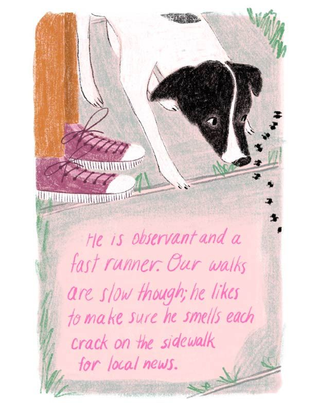 Panel 5