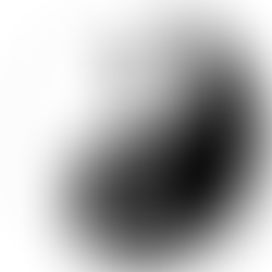 CONCEITO DE YIN-YANG