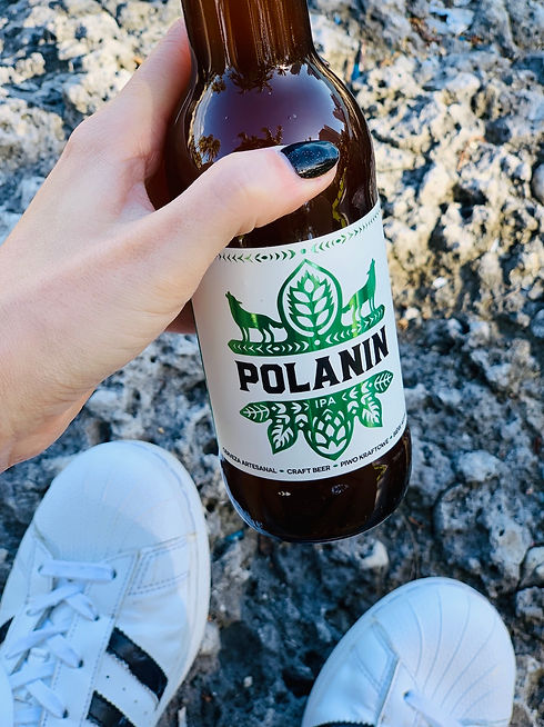 polanin_ipa.jpeg