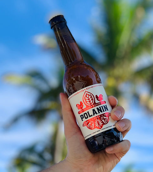 polanin_lager.jpeg