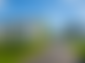 Explore Semi-Detached Homes Near Lake Miedwie