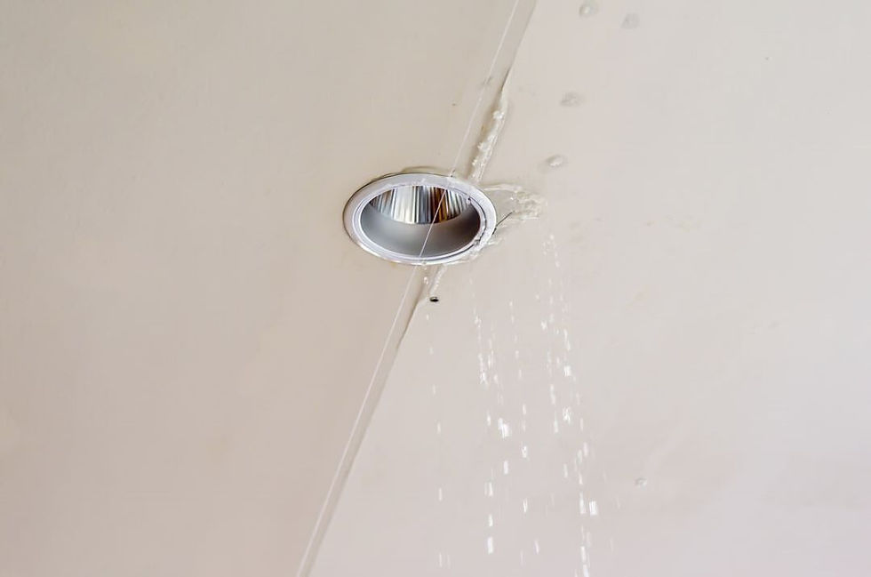 7 Easy Ways to Detect a Water Leak and Fix It. Image 2