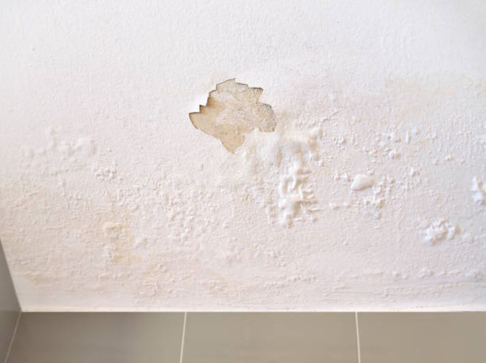 7 Easy Ways to Detect a Water Leak and Fix It. Image 4