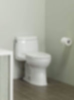 What Is The Best Toilet For Not Clogging? Image 9