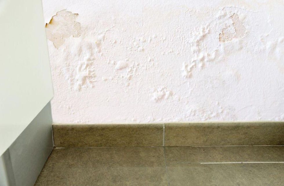 7 Easy Ways to Detect a Water Leak and Fix It. Image 5