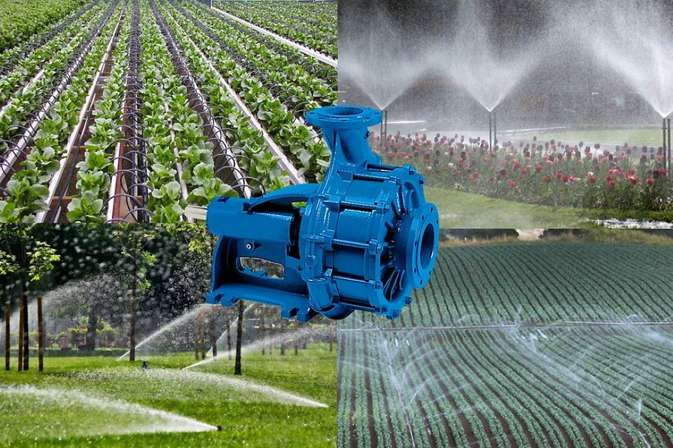 Where Are Water Pumps Commonly Used In Industrial Settings? Image 8