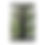 Thumbnail: Canvas Print - Lake Eden, NC Tree