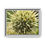 Thumbnail: Flower macro image on canvas (Galena, Il. Collection)