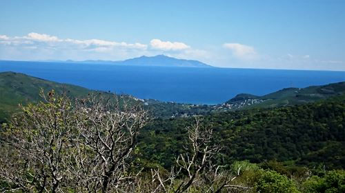 View on Elba Island