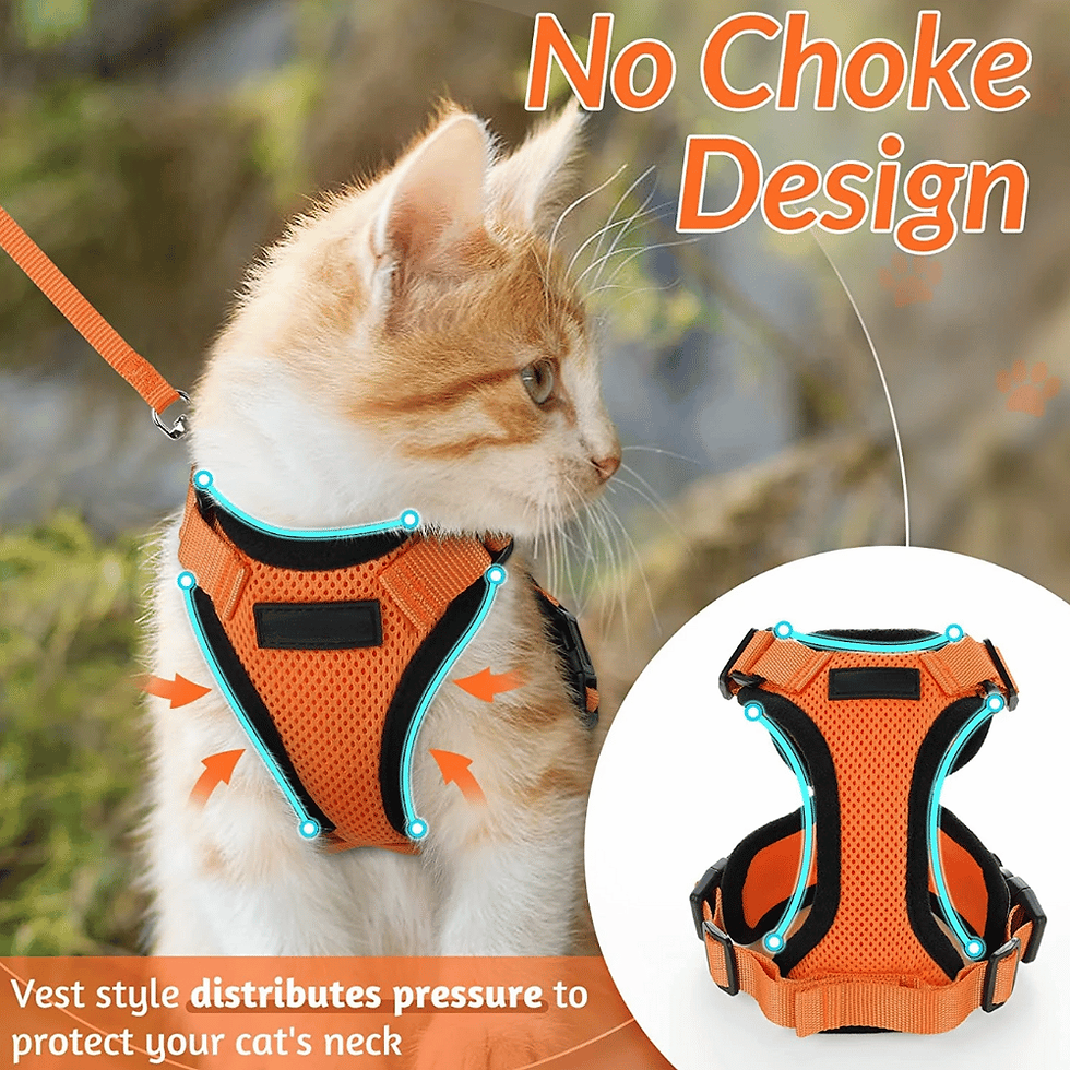 Cat Harness and Leash - No Chokle Design